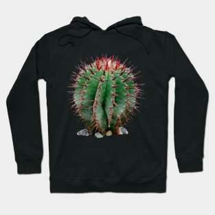 Mini Cacto Hoodie